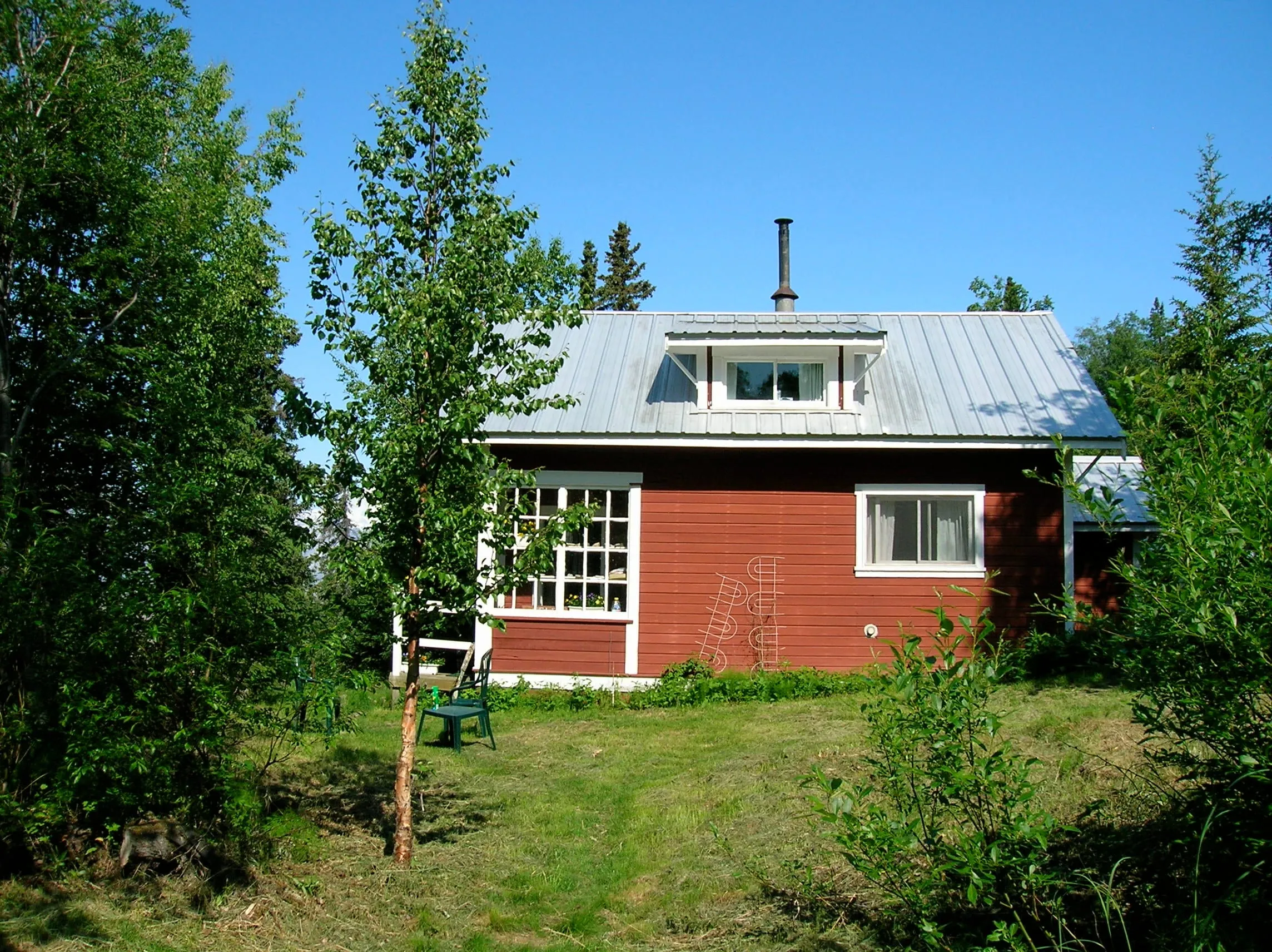 Our side yard